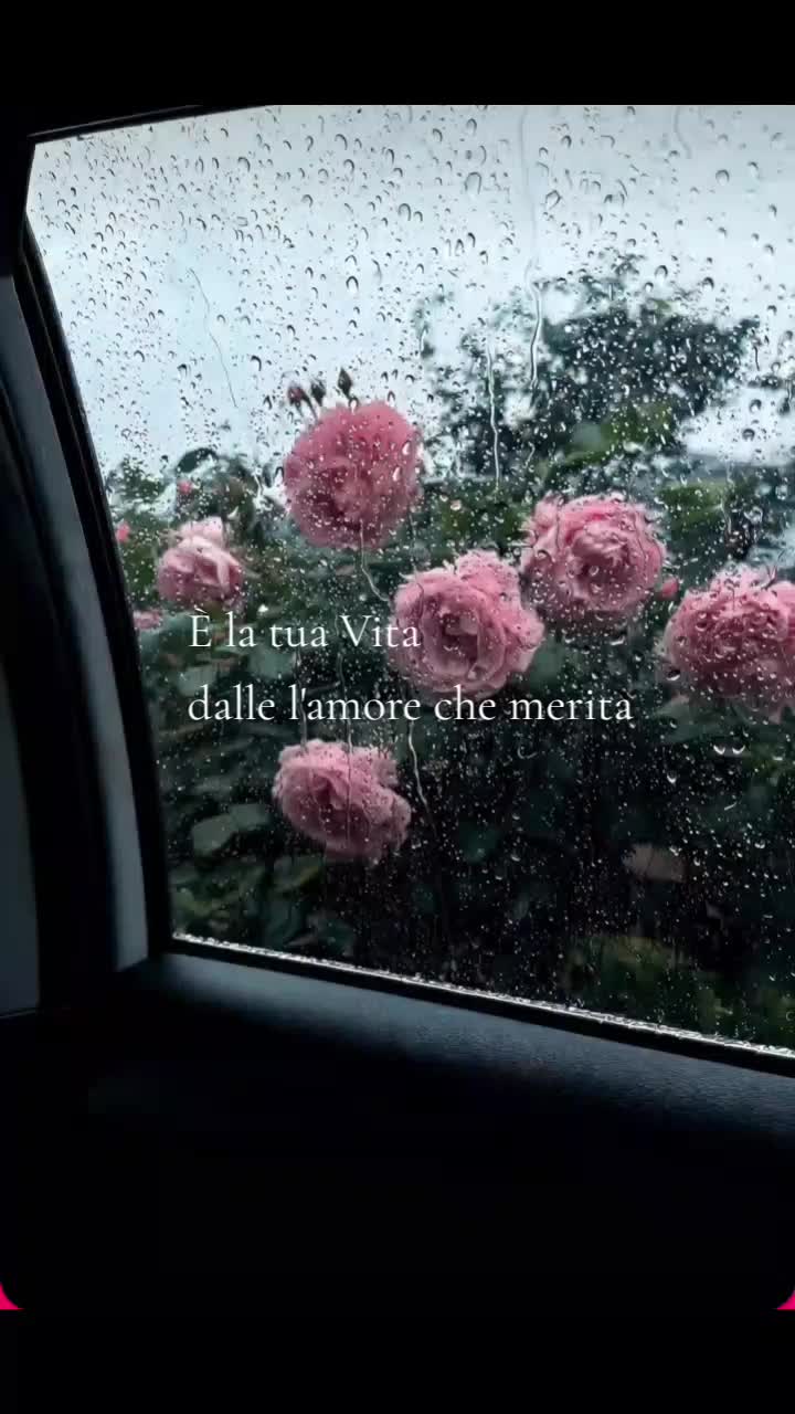 @💙Amali@