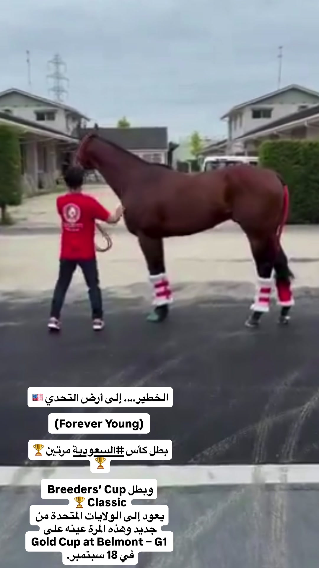 @ابوخالد