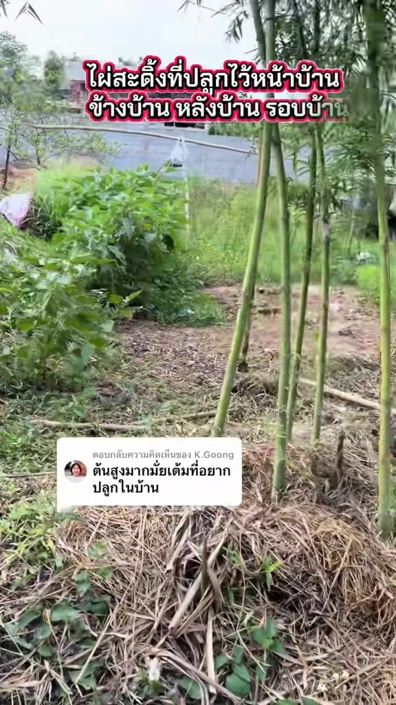 @นัดดาชอป