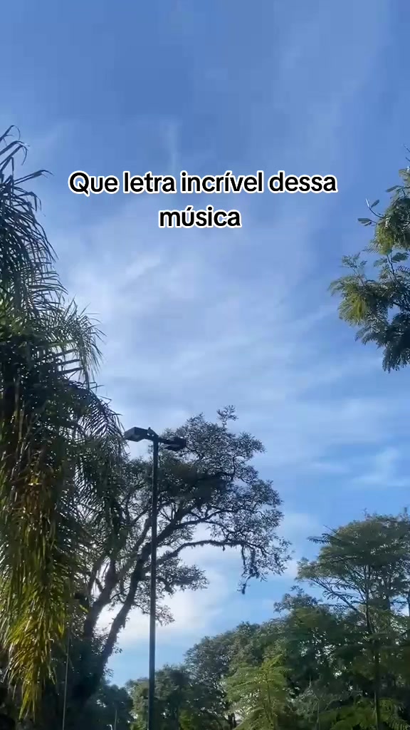 @LobaNegra✔️