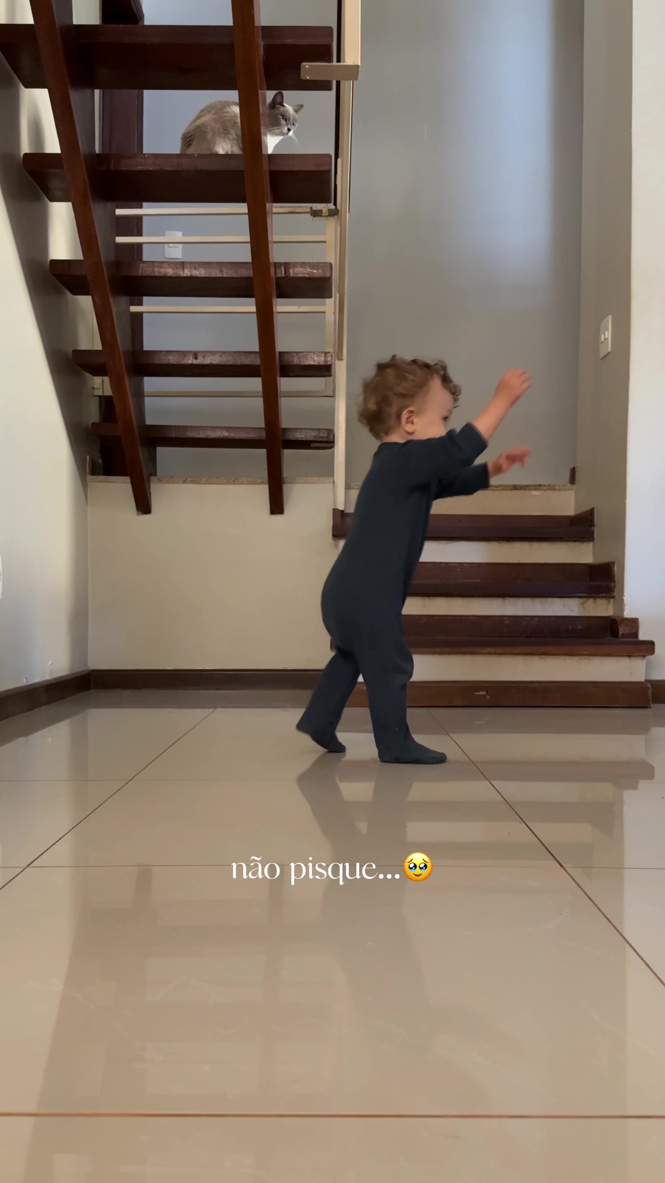 @Fernanda Tumas