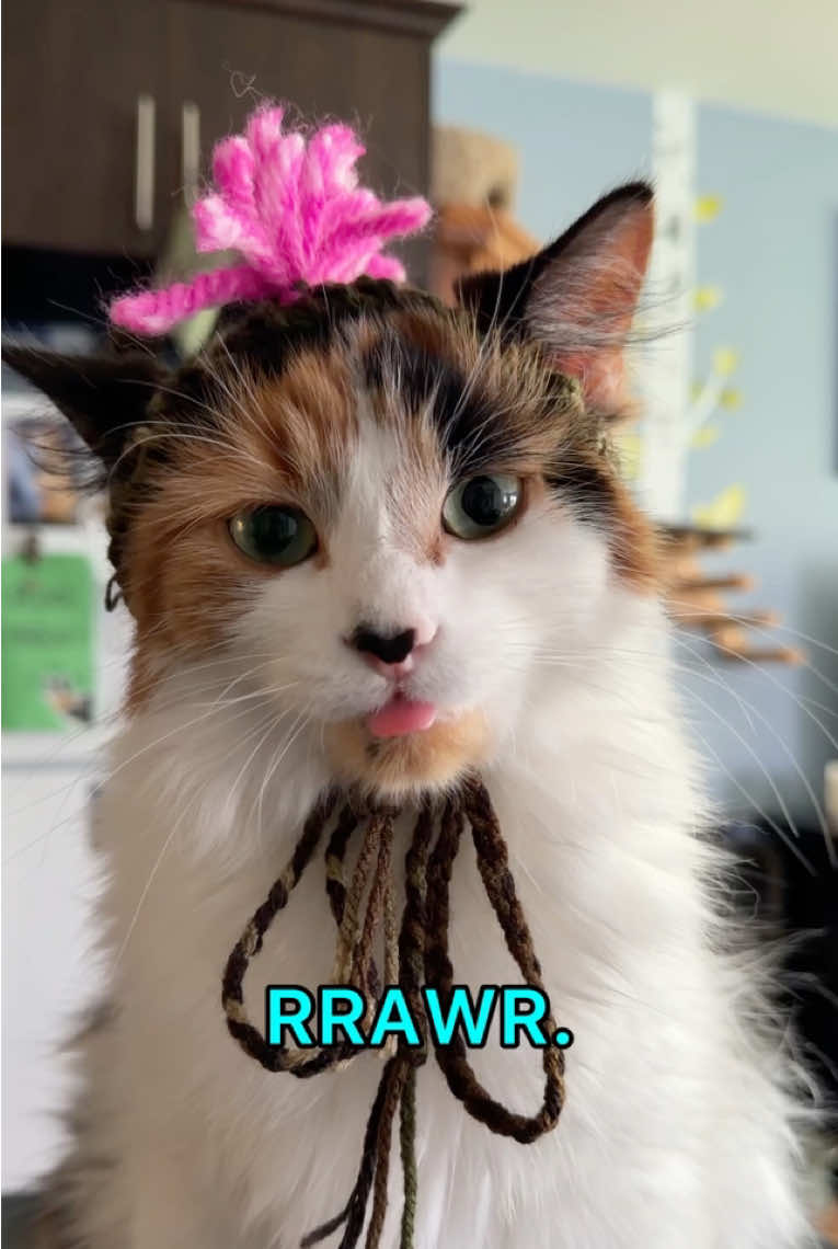 @The Oreo Cat