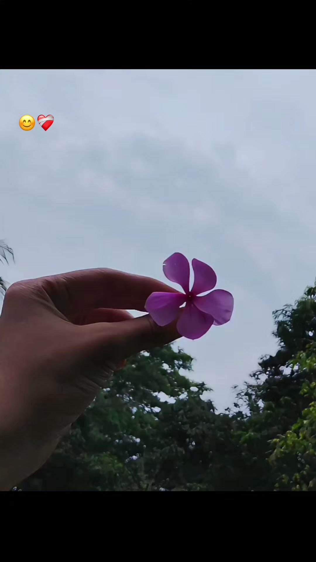 @Mihu?