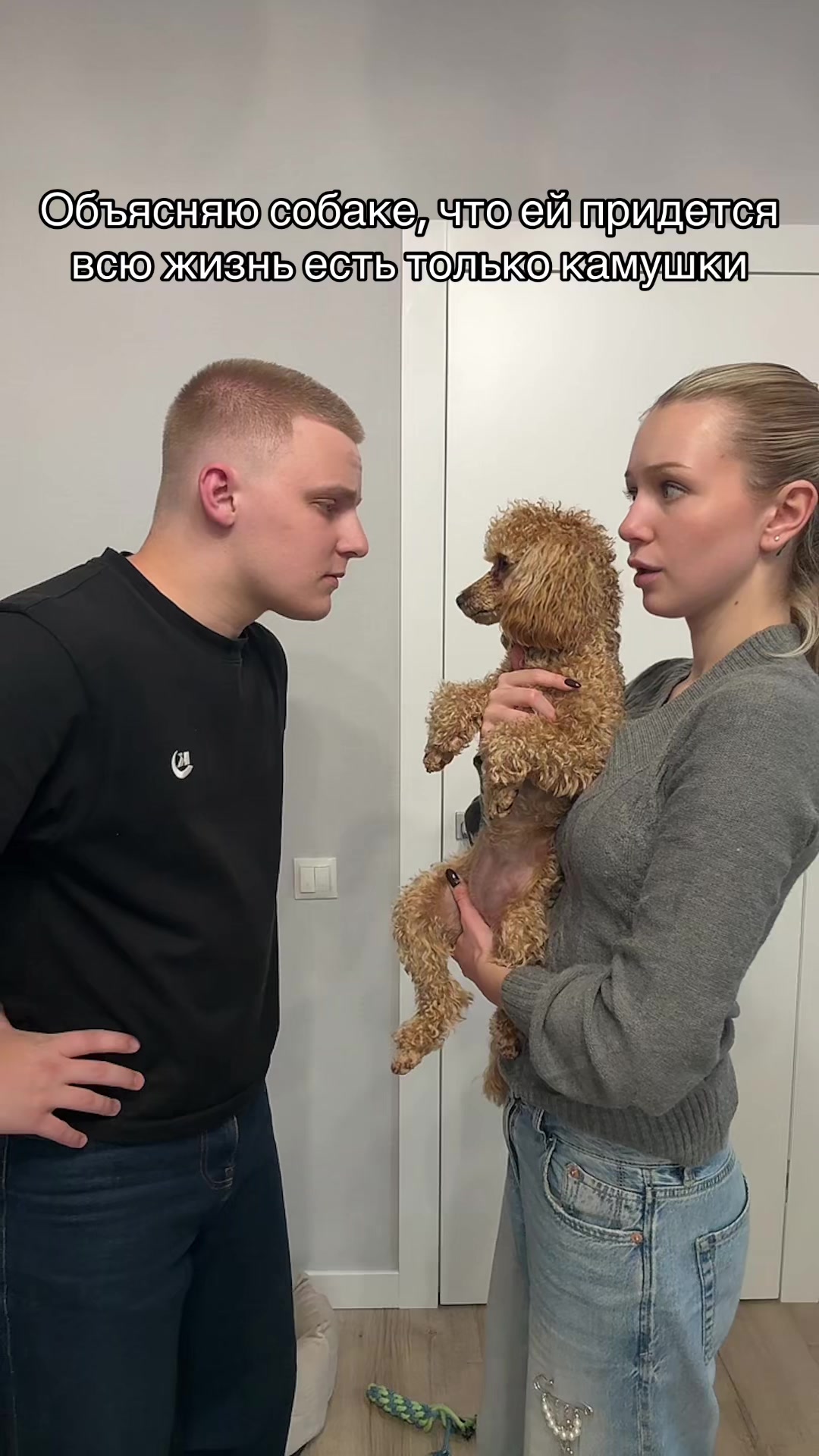@ГОЛУБКИ