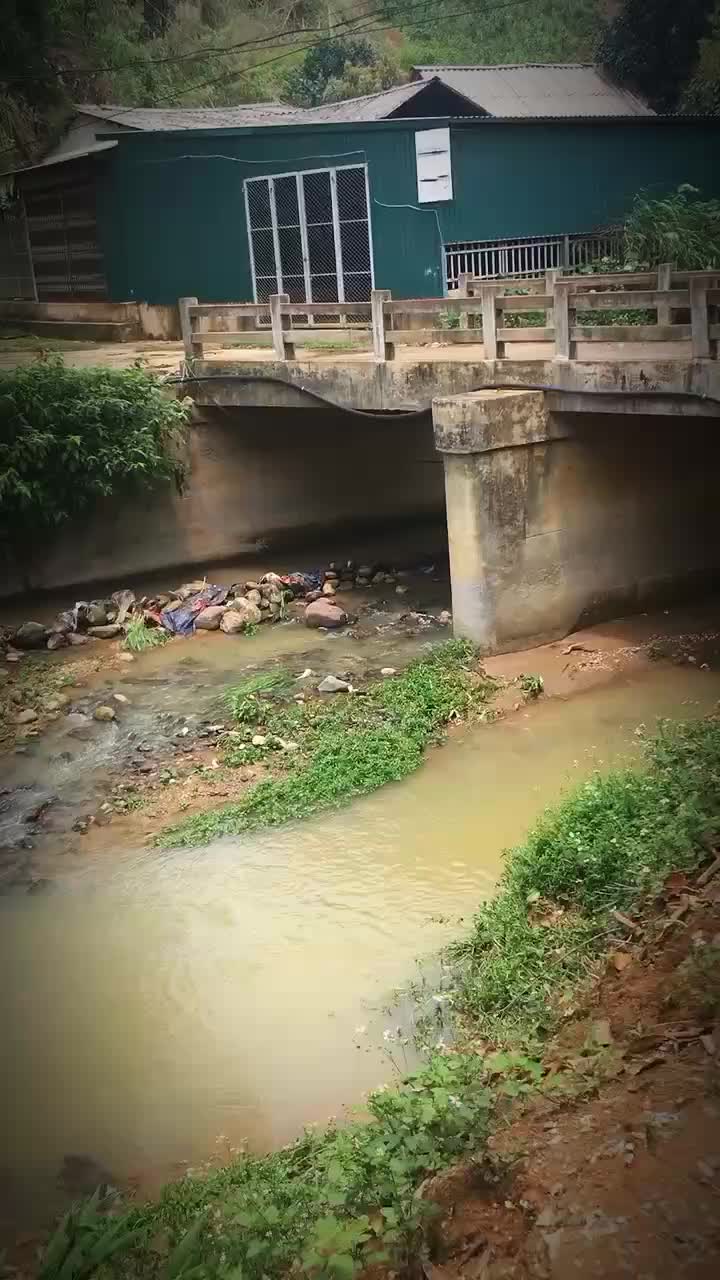 @đông xd