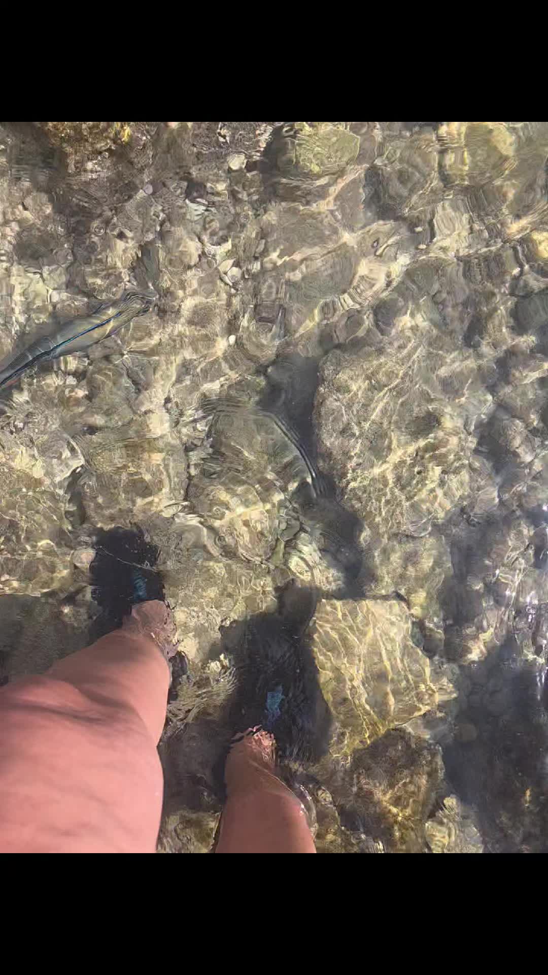 @𝑺𝒐𝒇𝒉𝒊𝒂