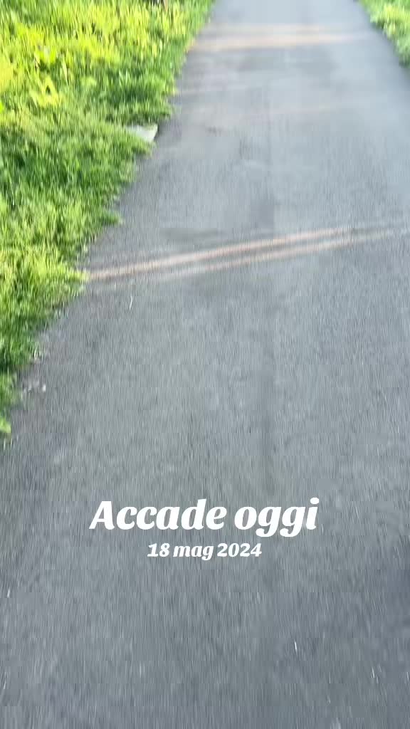 @Francesco Olivella