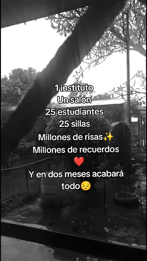 @Promo_25🩵