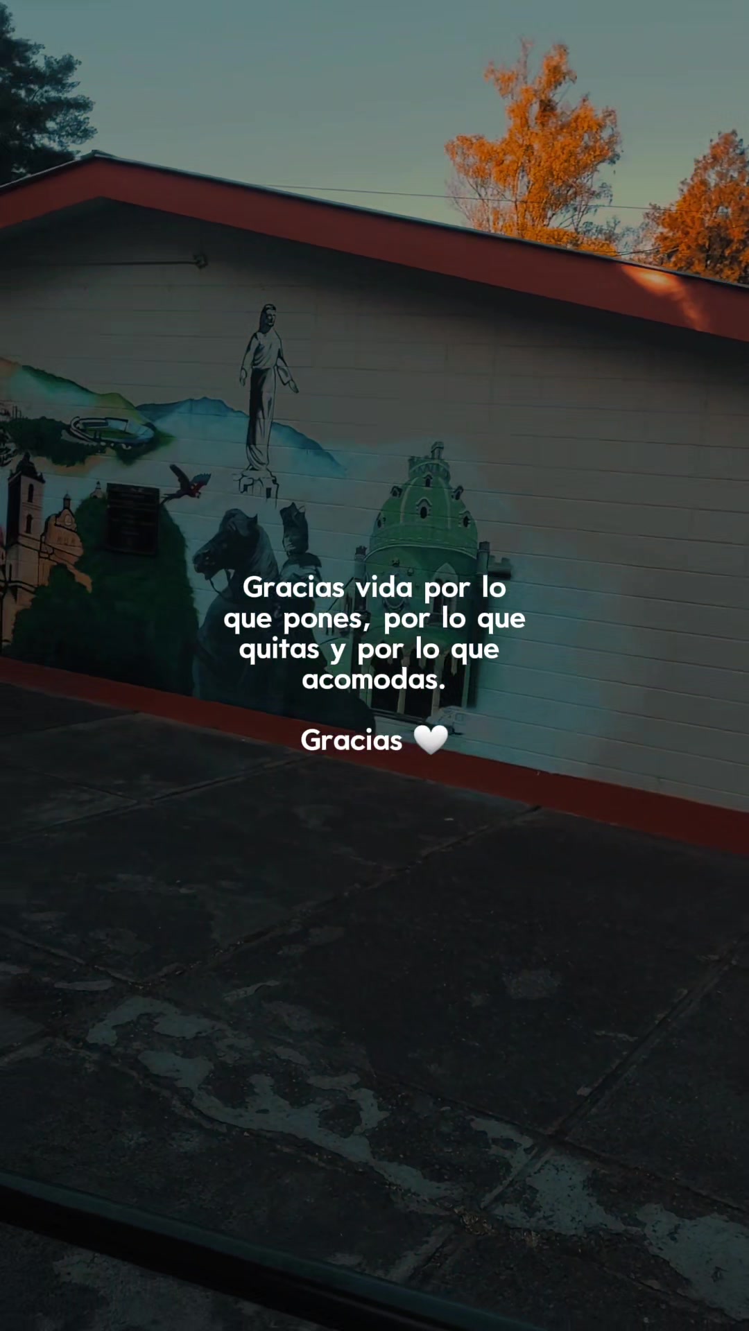 @Wilson Sanchez