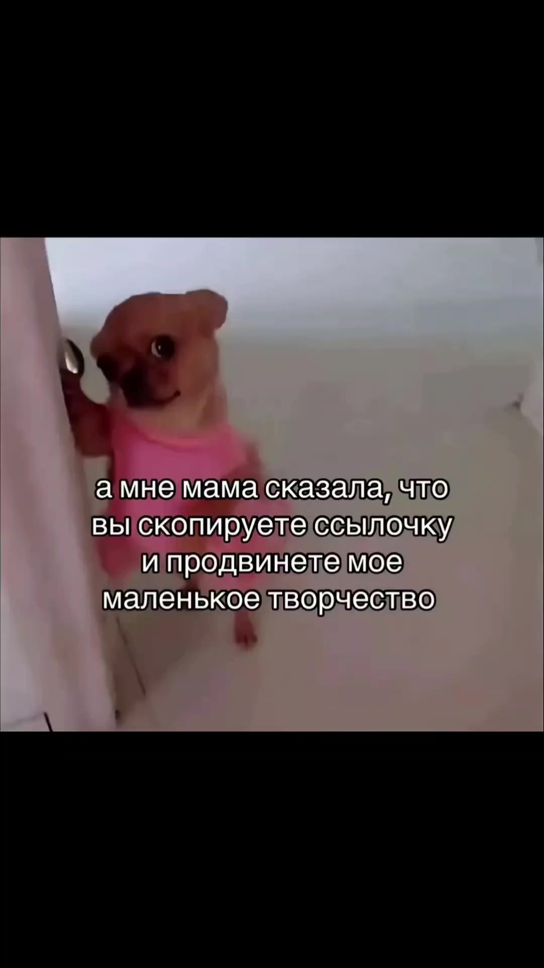 @nataha_drago_