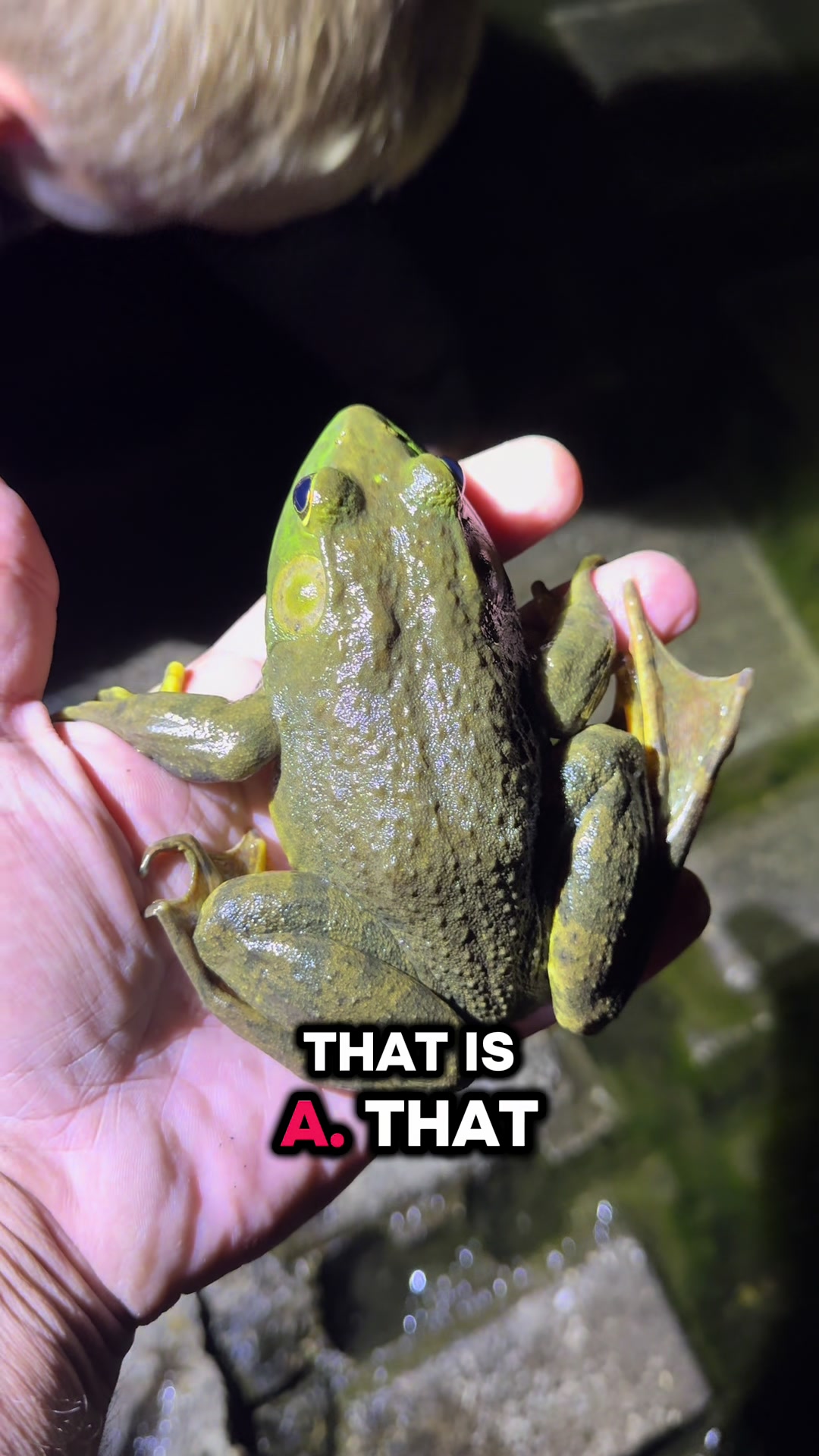 @ChrisFishOutdoors