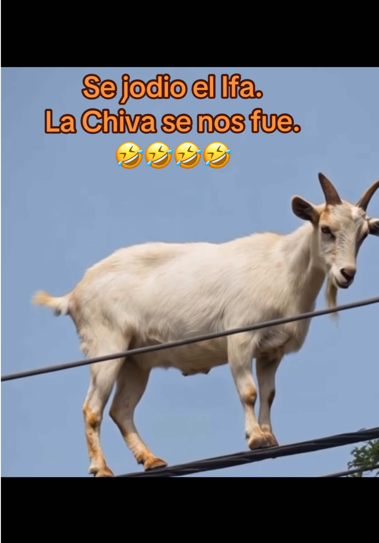 @Baba Ejiogbe
