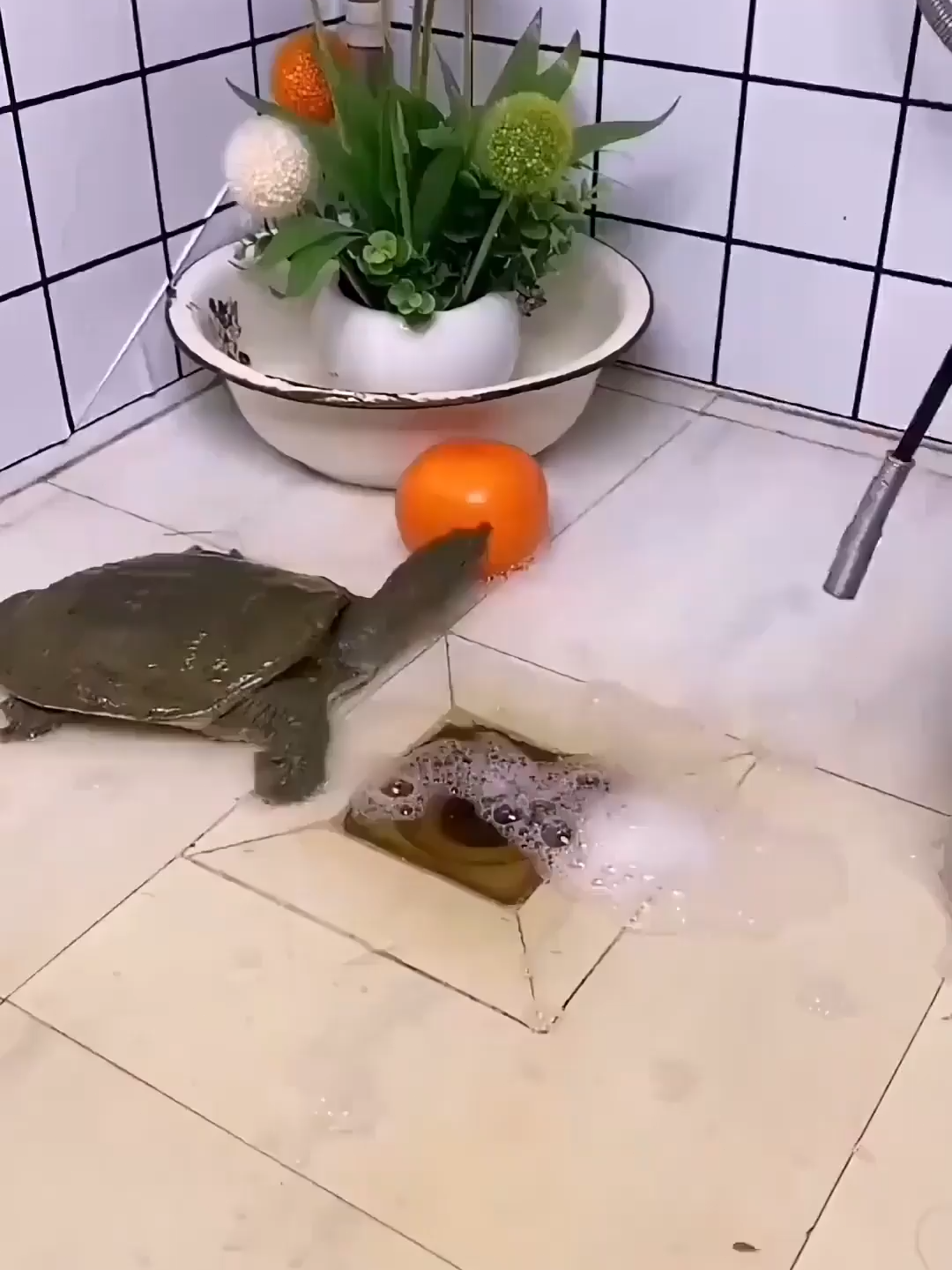 @axtgdnrvp