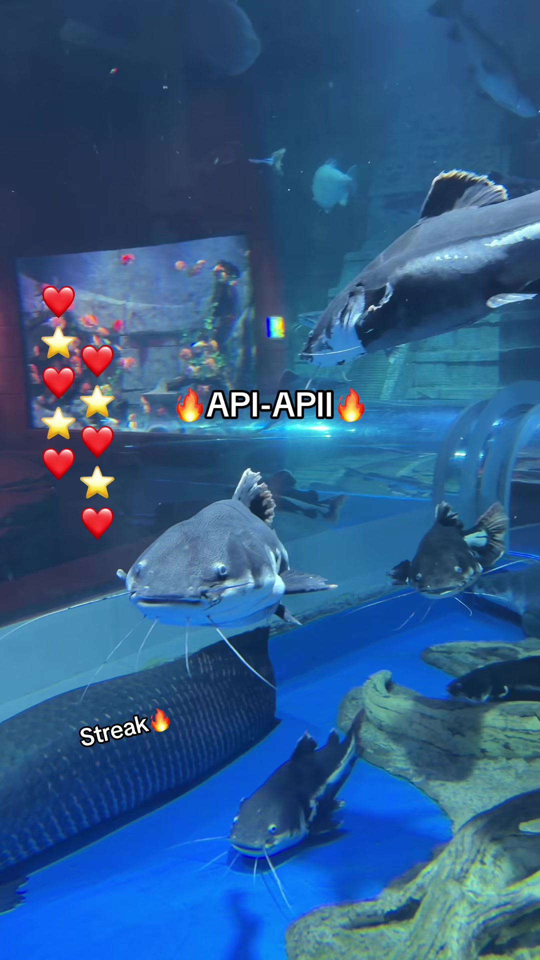 @Chuppy