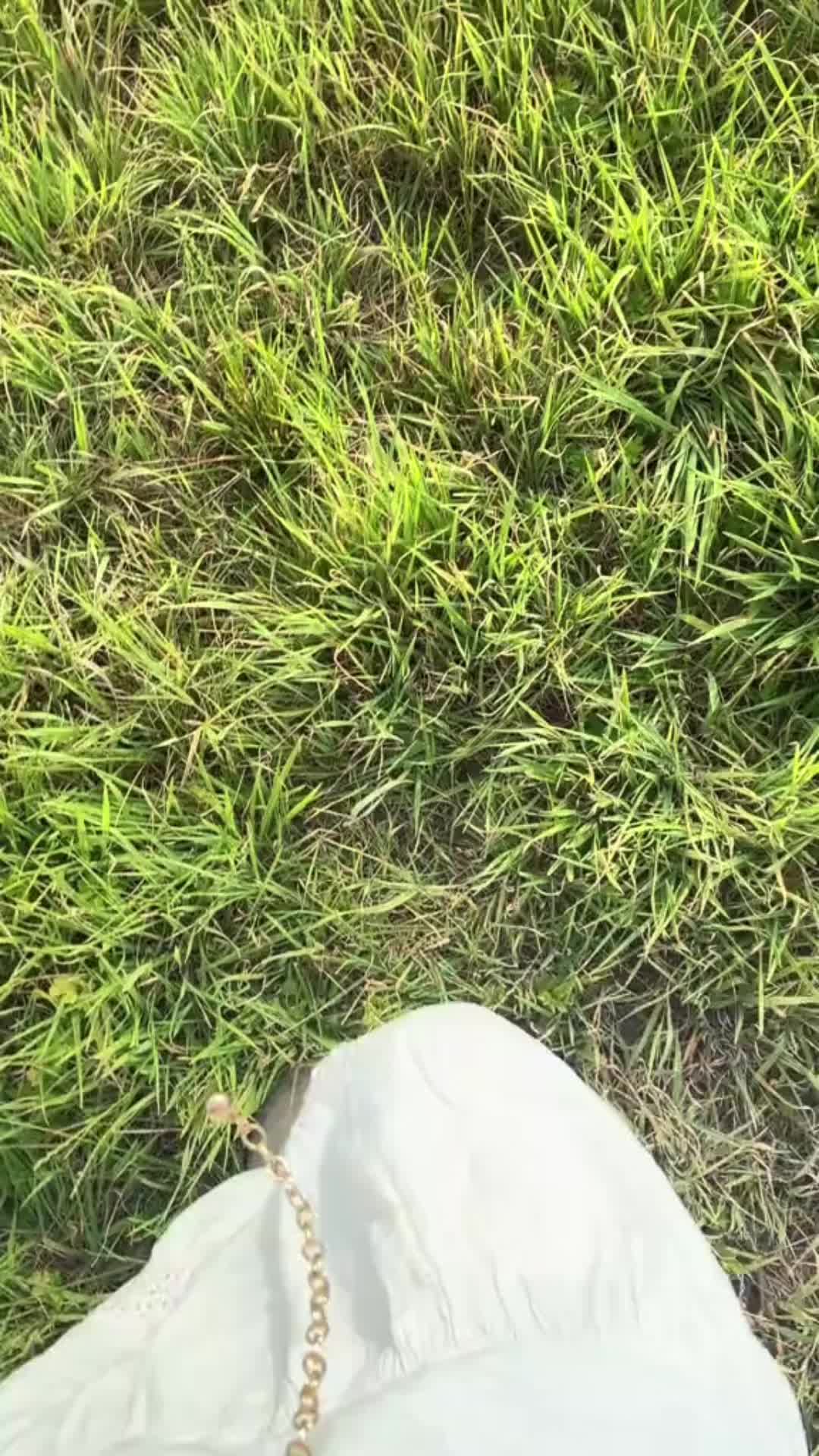 @Alchemiebalm
