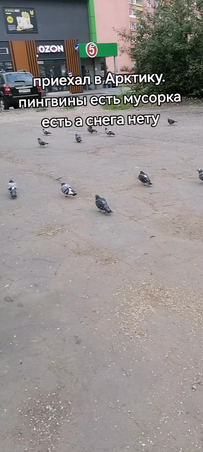 @кроччи