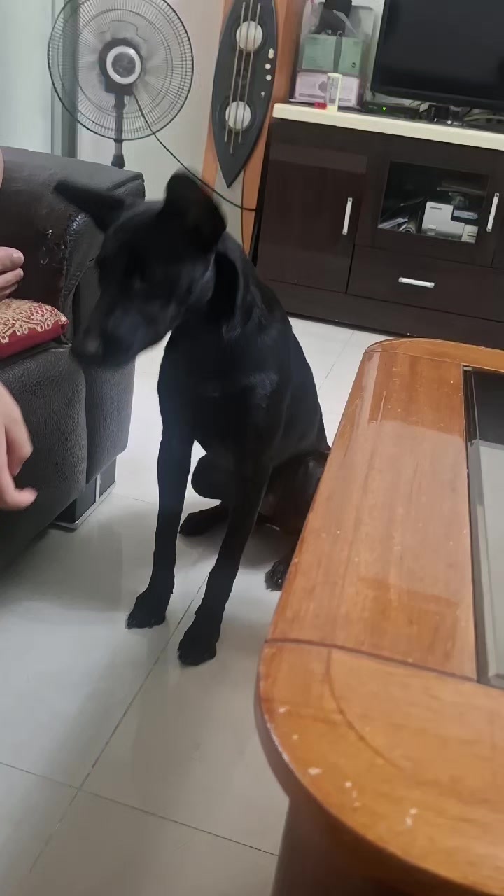 @張漢娟