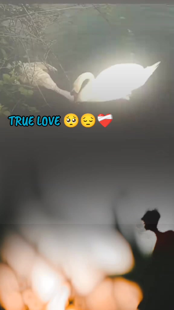@👑☠️꧁༒☠तेलीवंशी☠︎༒꧂☠️👑