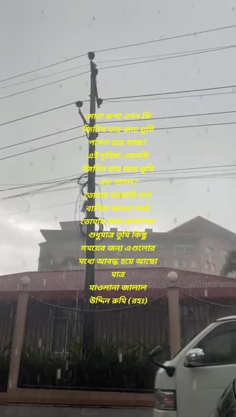 @showkat ali