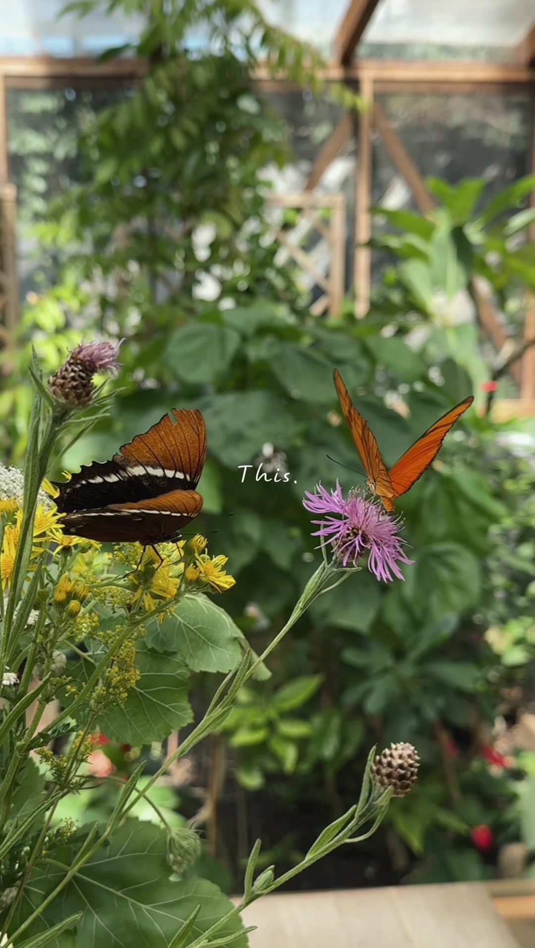 @Biosphäre Potsdam