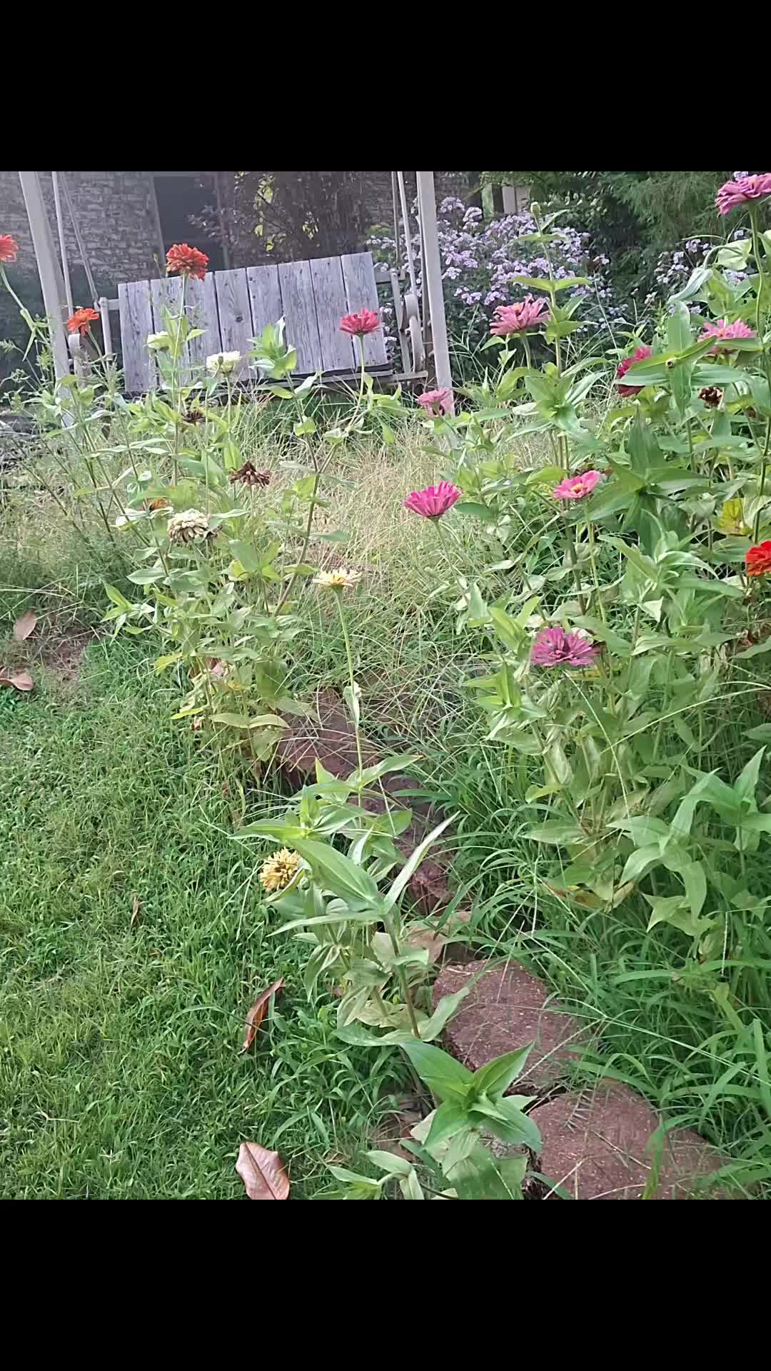 @gardening is Brutal.....