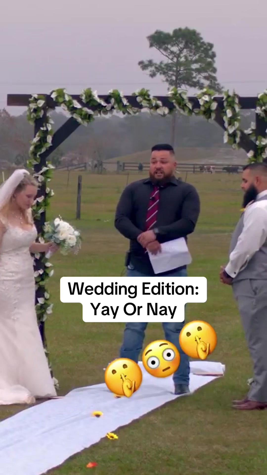 @M. Viz Wiley