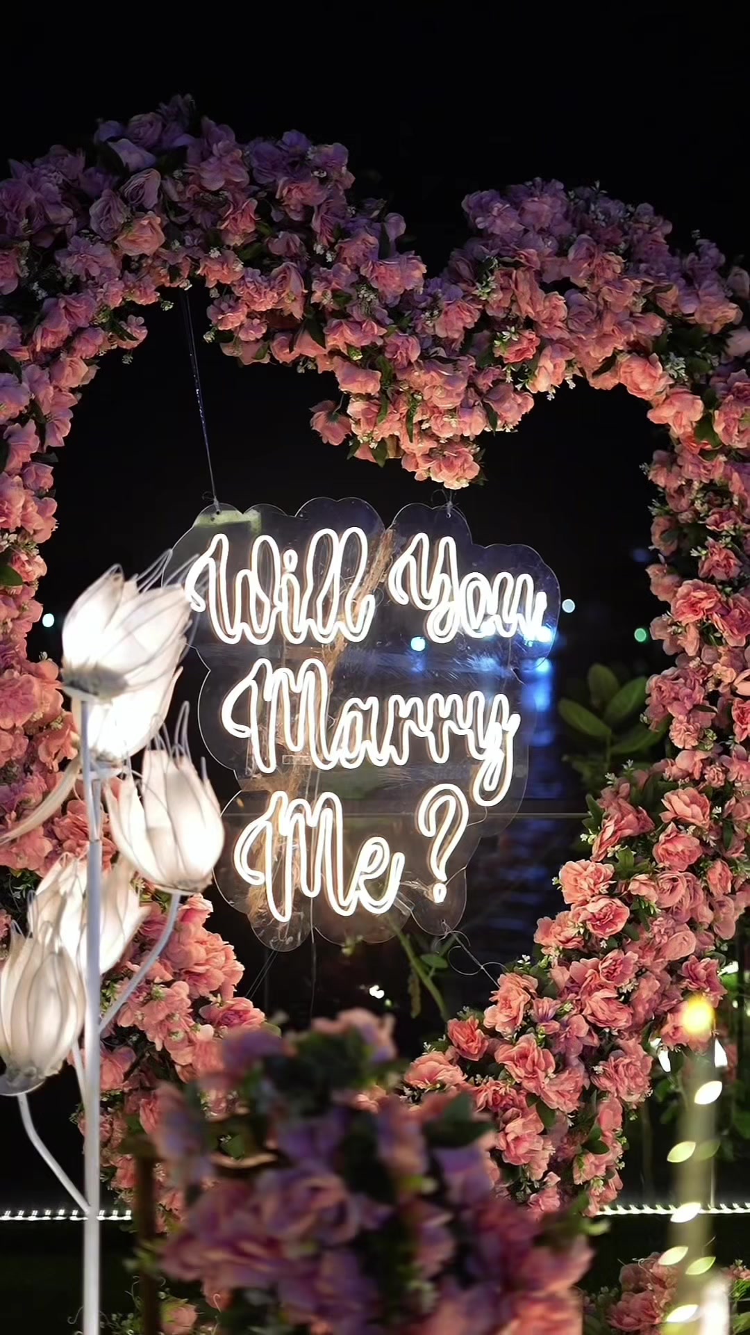 @Proposals in lagos | Abuja