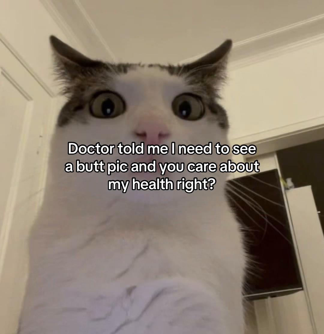 @Alice.cattok