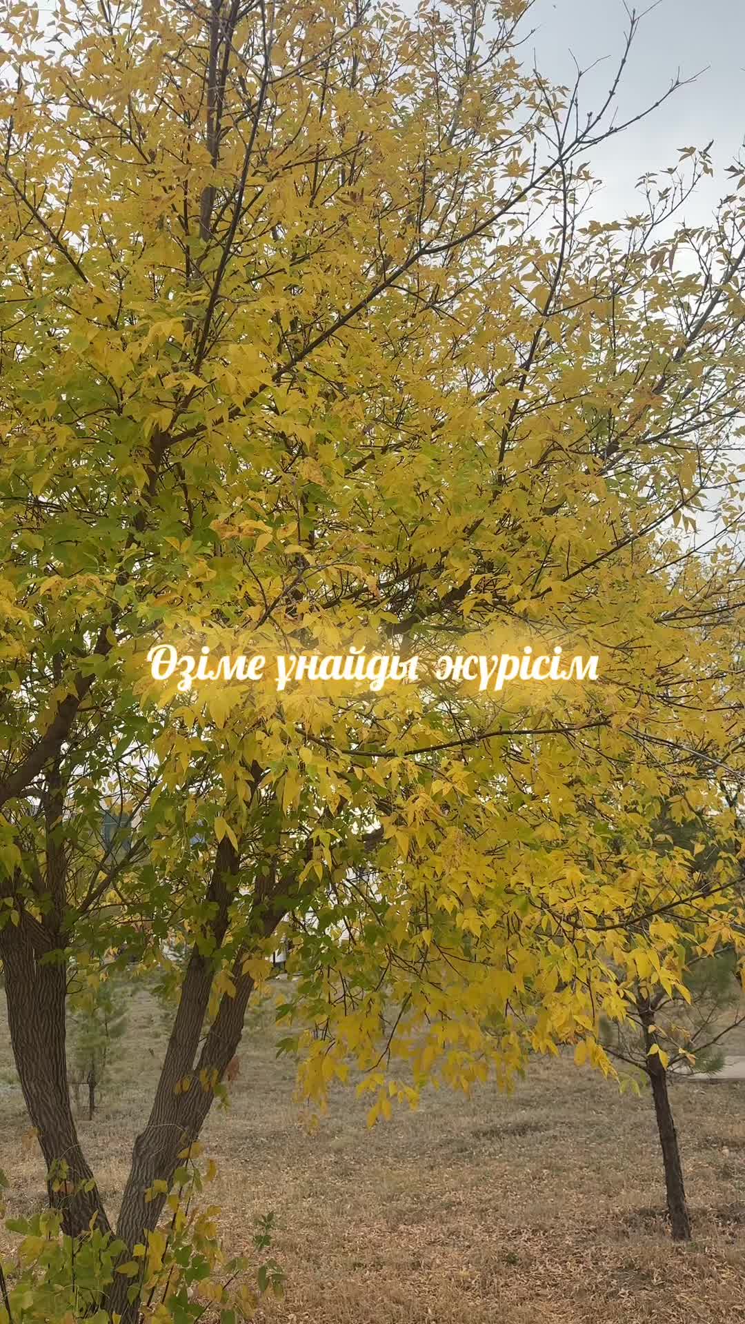 @Өмір өткелдері
