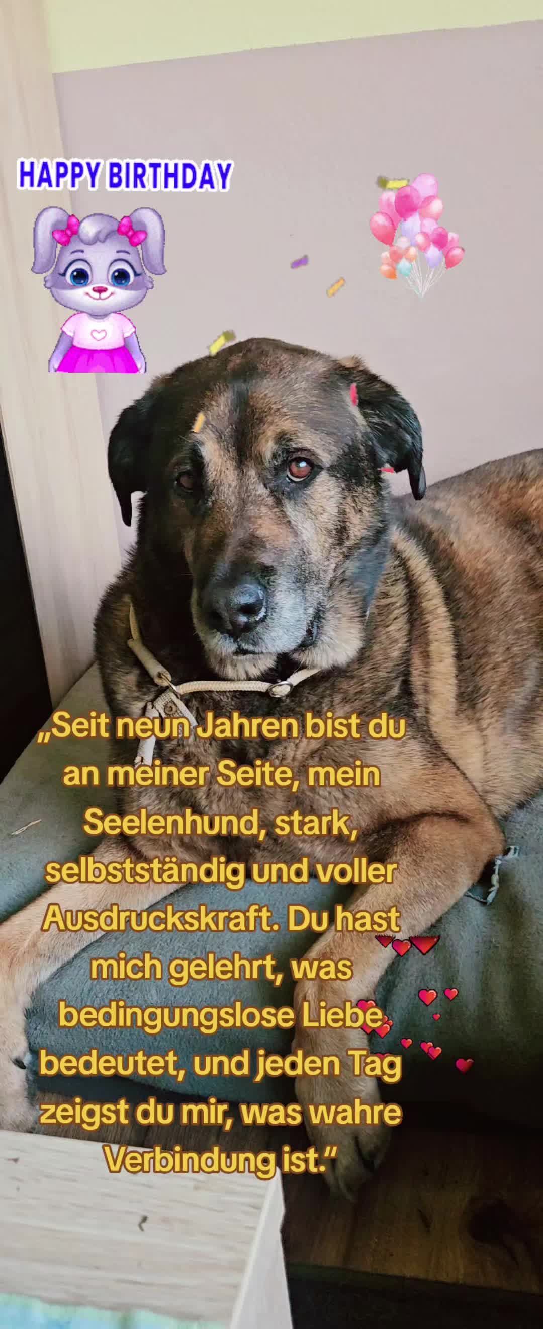 @💝Olle💜Emma🤎Fritz💟Mutti💌