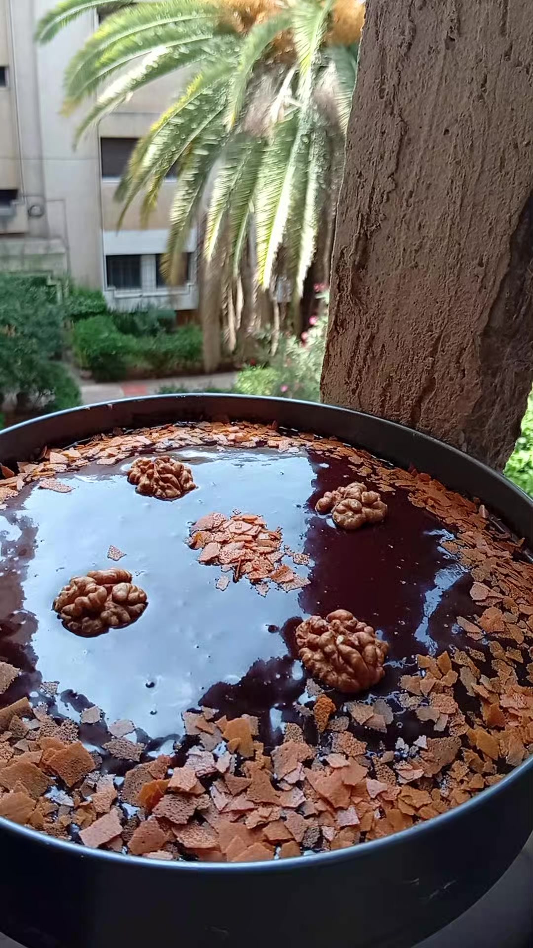 @مطبخ حوريه