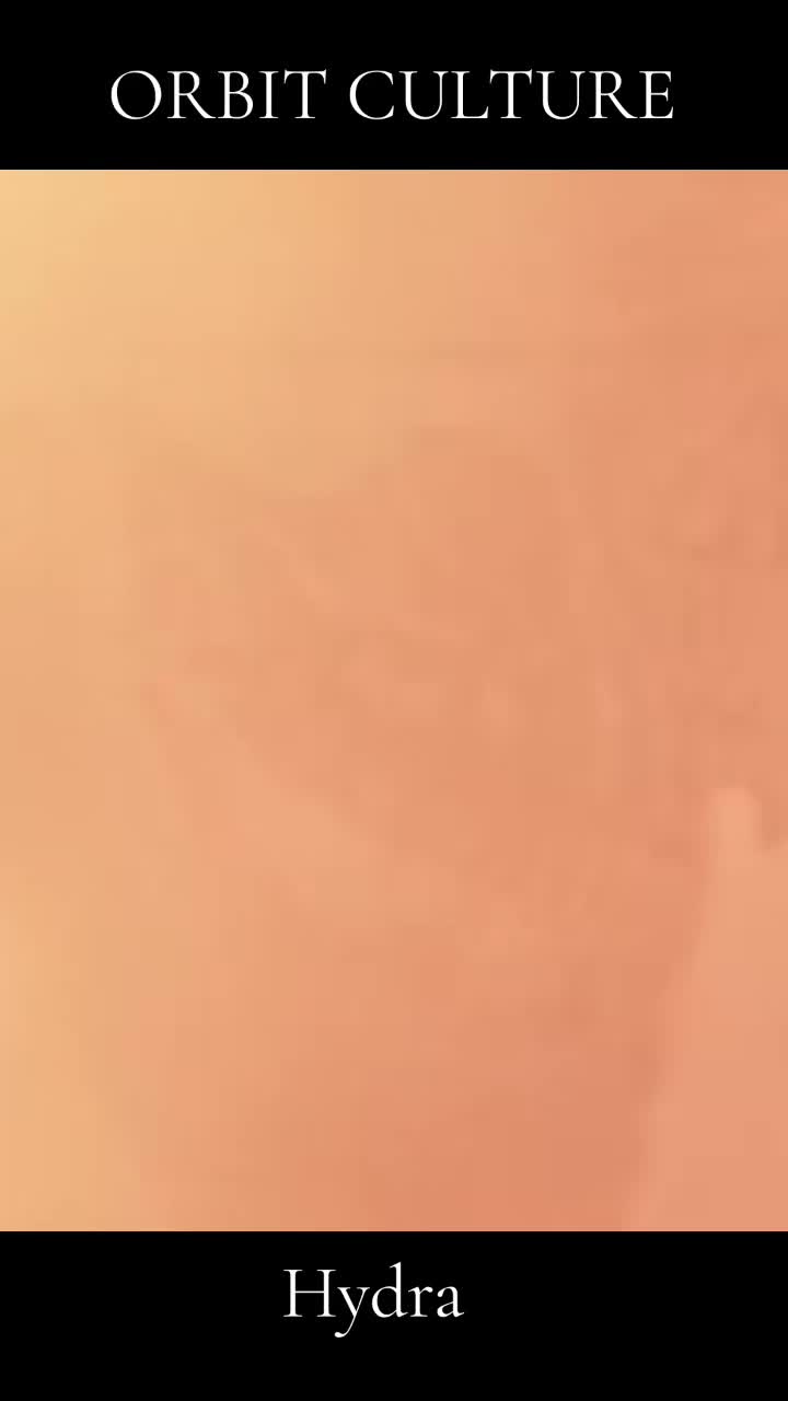 @๐๐๐๐๐๐๐๐ ๐ญ๐๐๐๐๐o