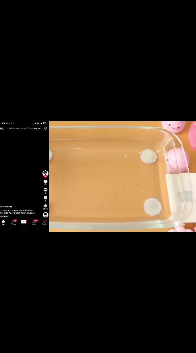 @maysiepan