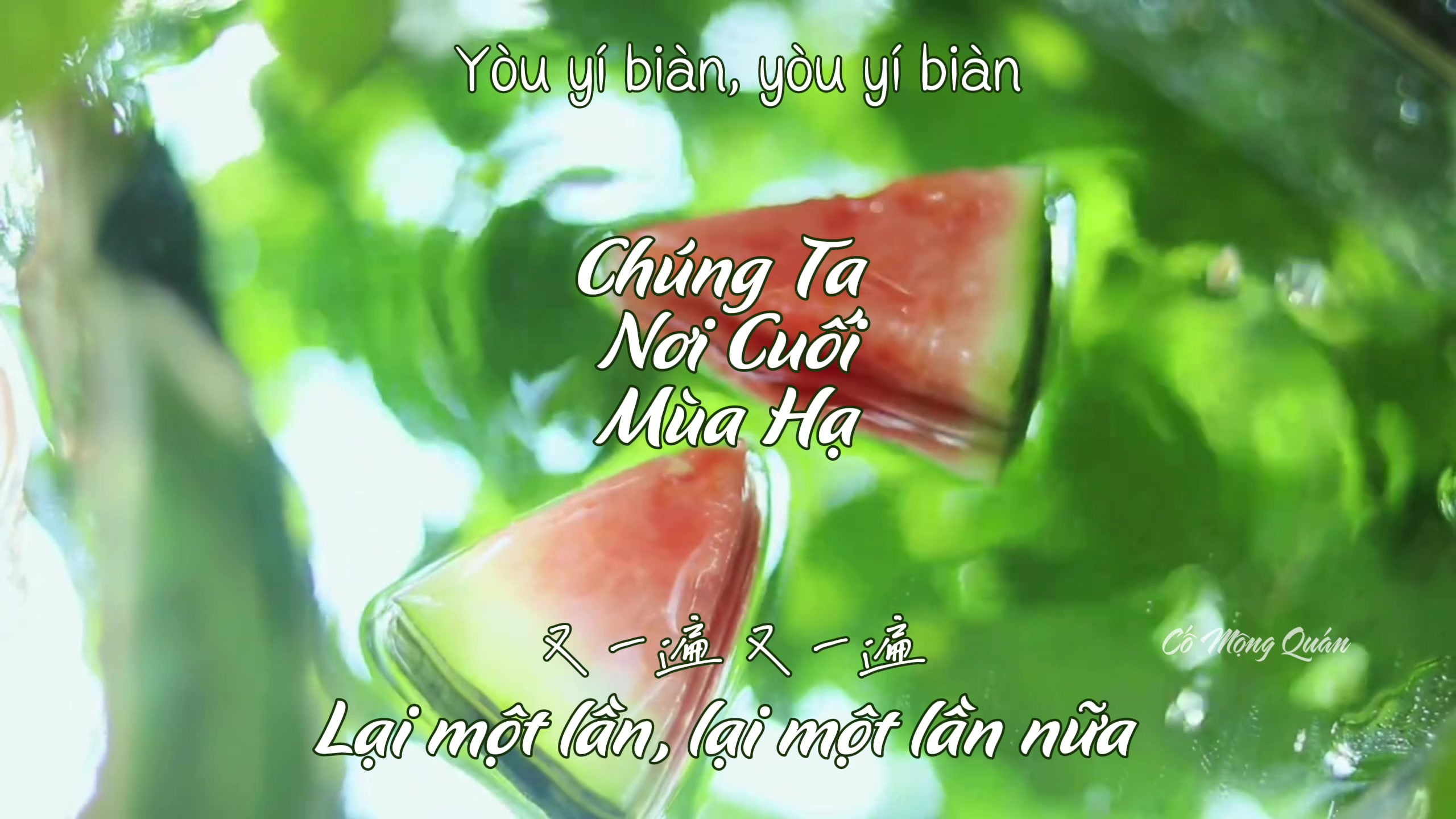 @Cố Mộng Quán 故梦馆