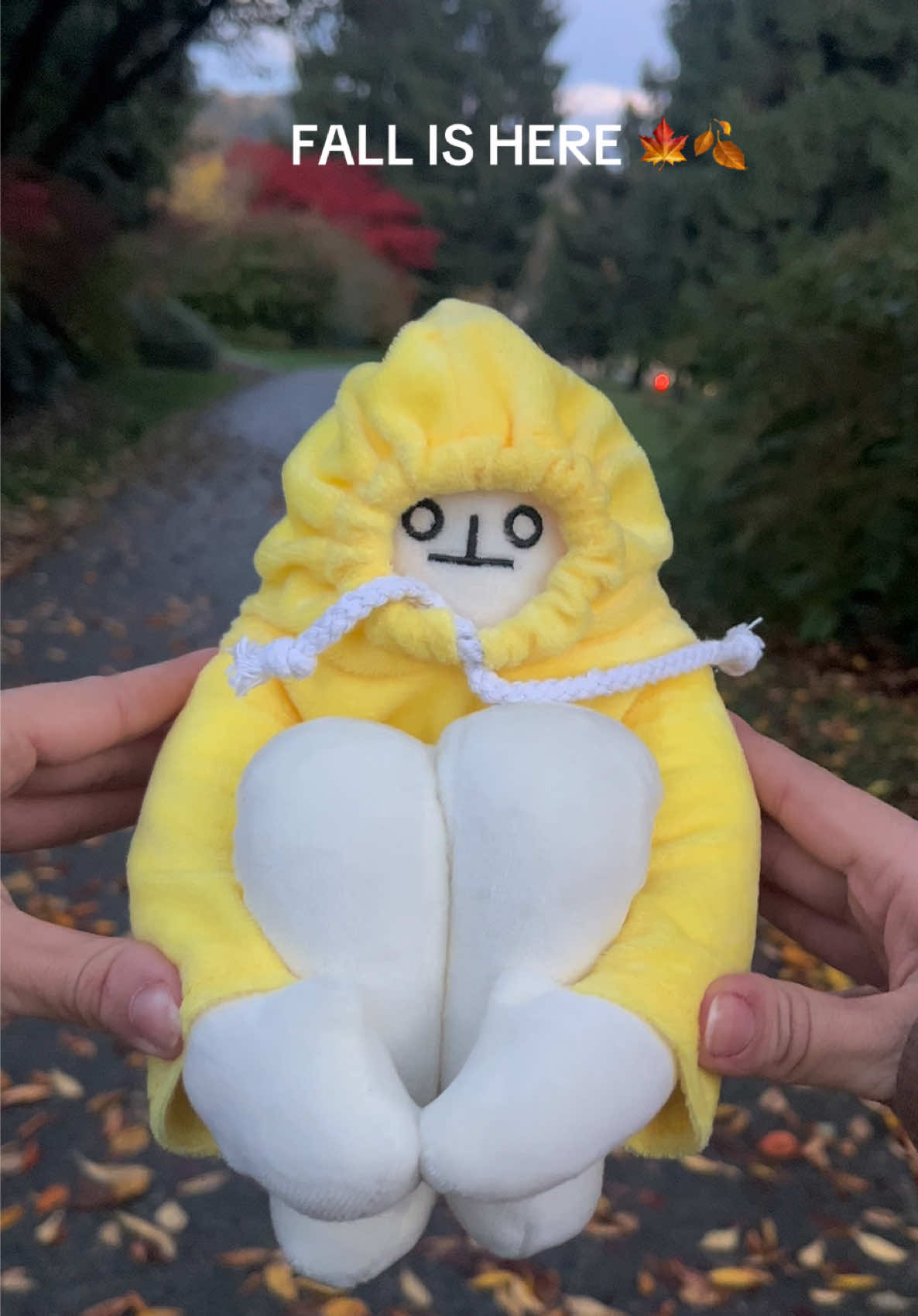 @Existential Crisis Bob