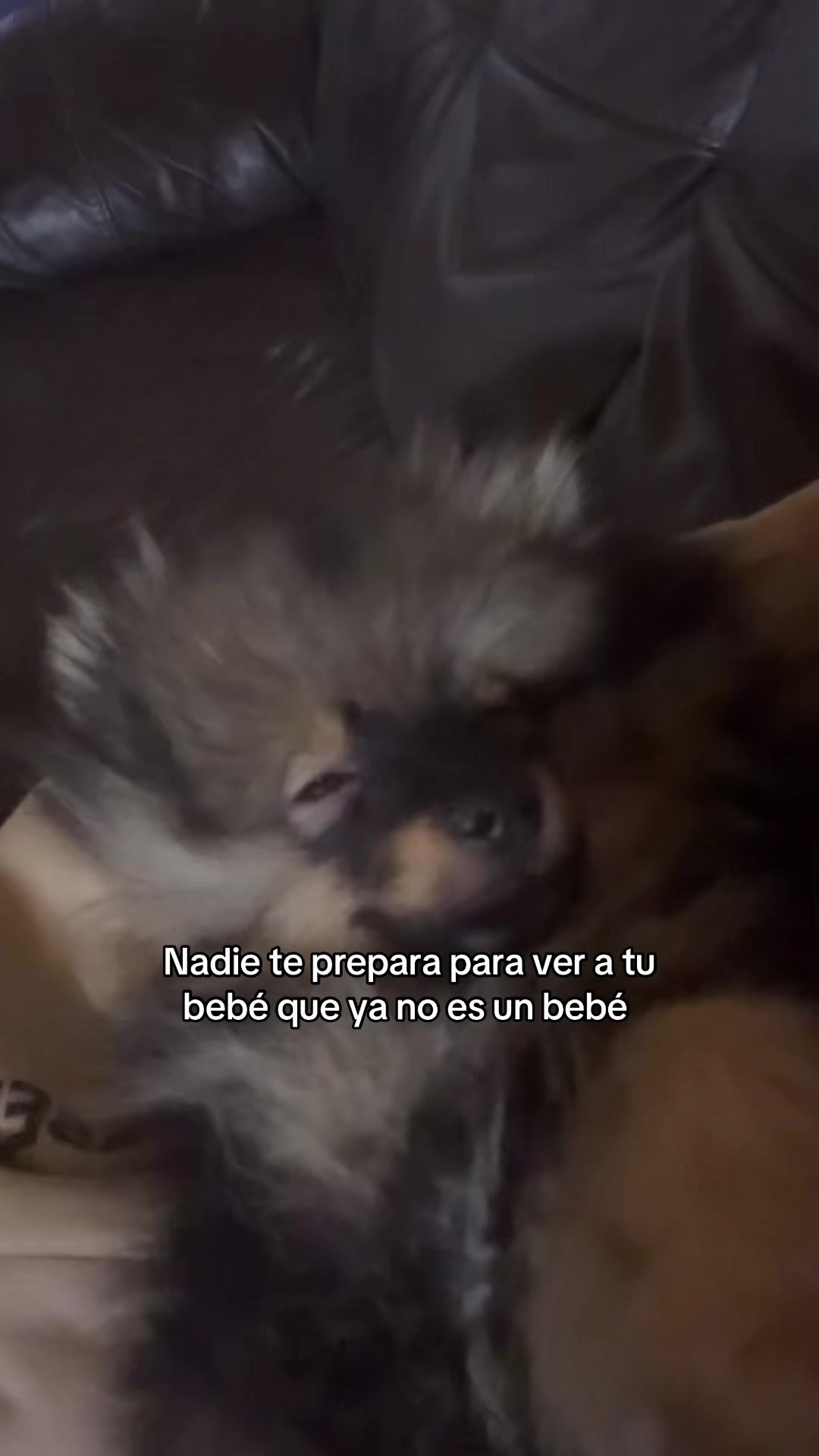 @sophie💞