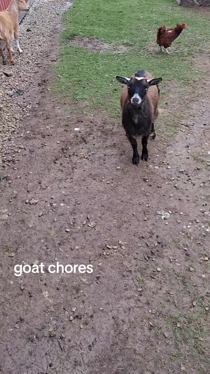 @Taylor | Sah{farm}m