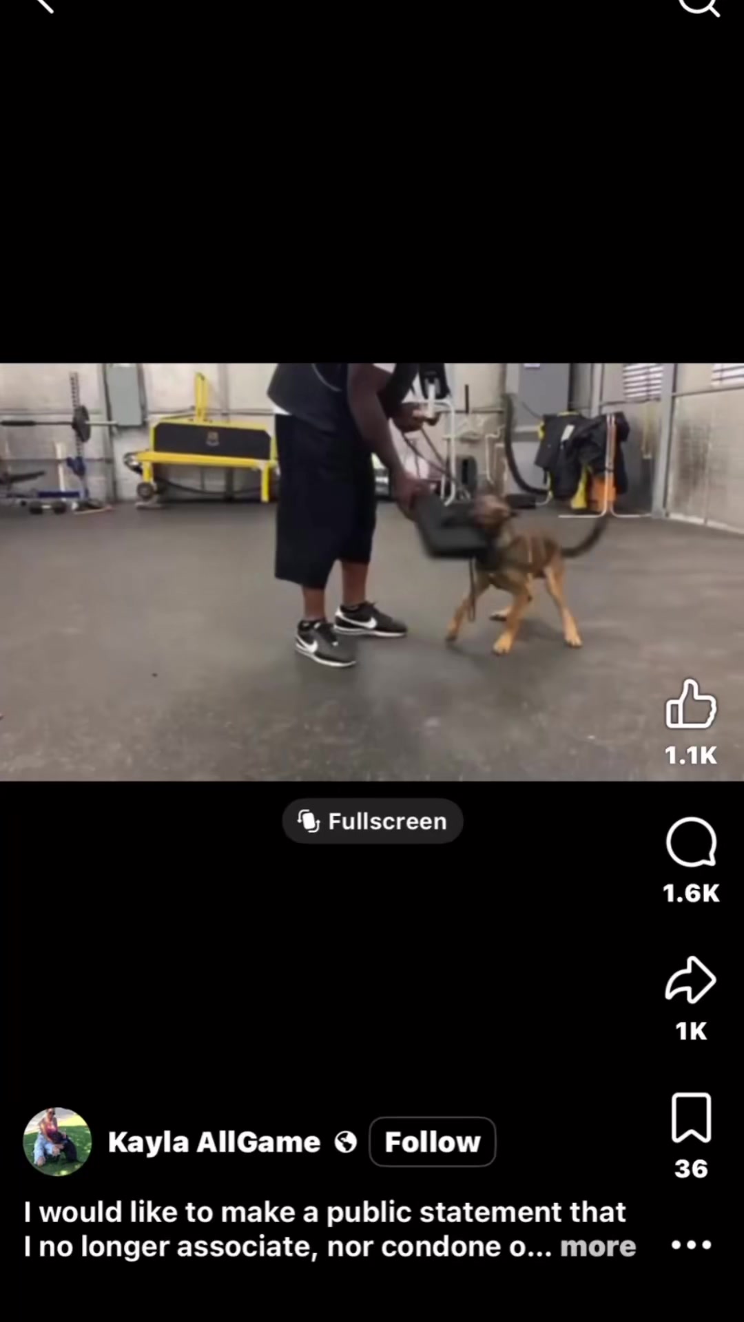 @🖤Kristin | Ironbound GSD🐾