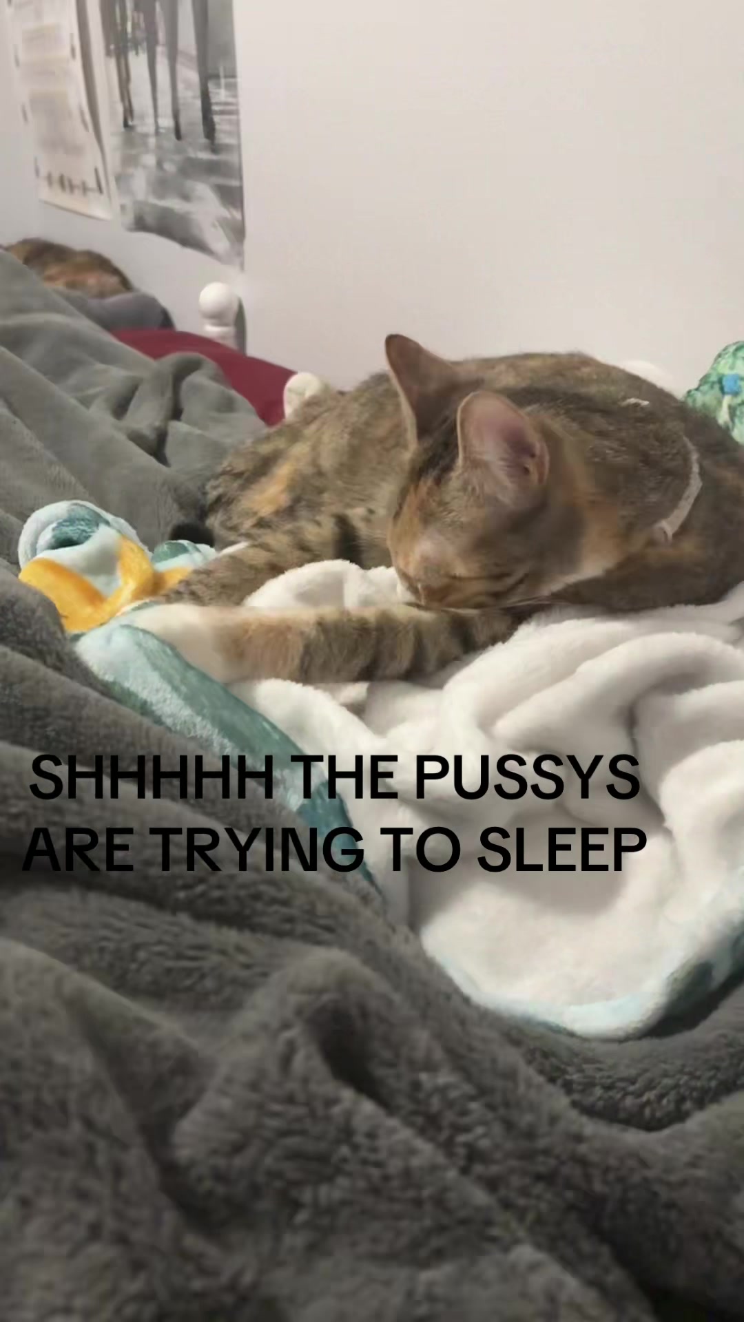 @𝑮𝑹𝑬𝑬𝑵𝑫𝑨𝒀𝑮𝑰𝑹𝑳