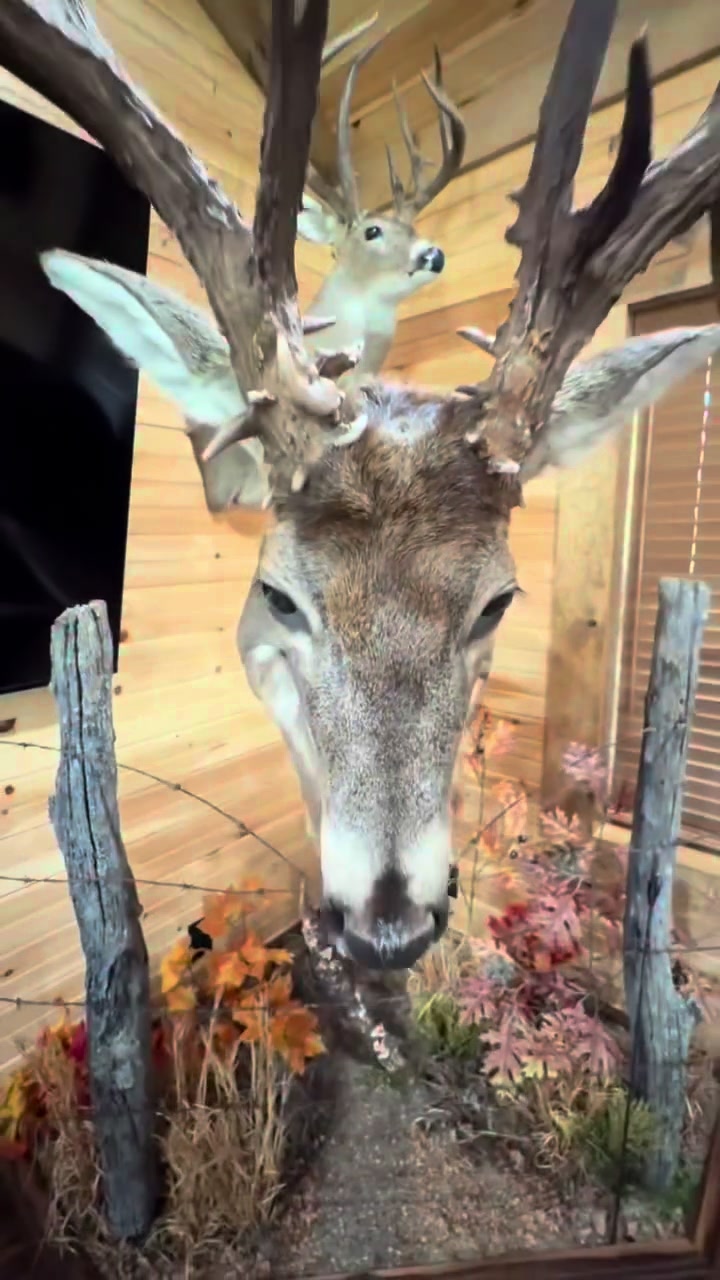@Buckmasters Outdoors
