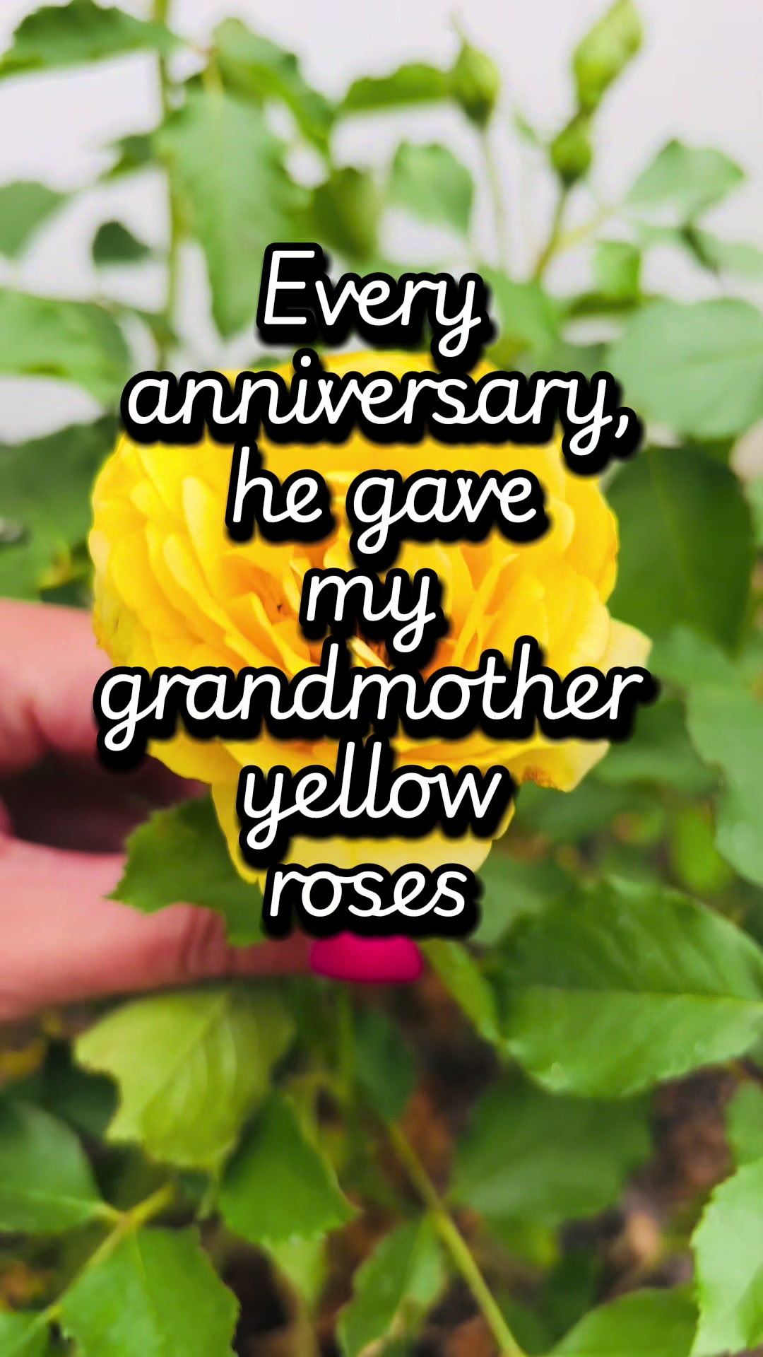 @firewife