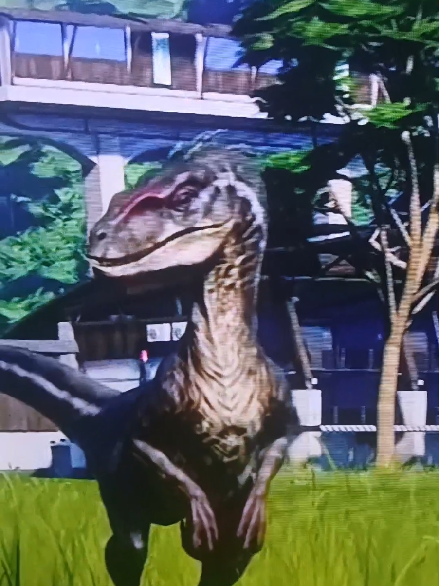 @Jurassic Raymond