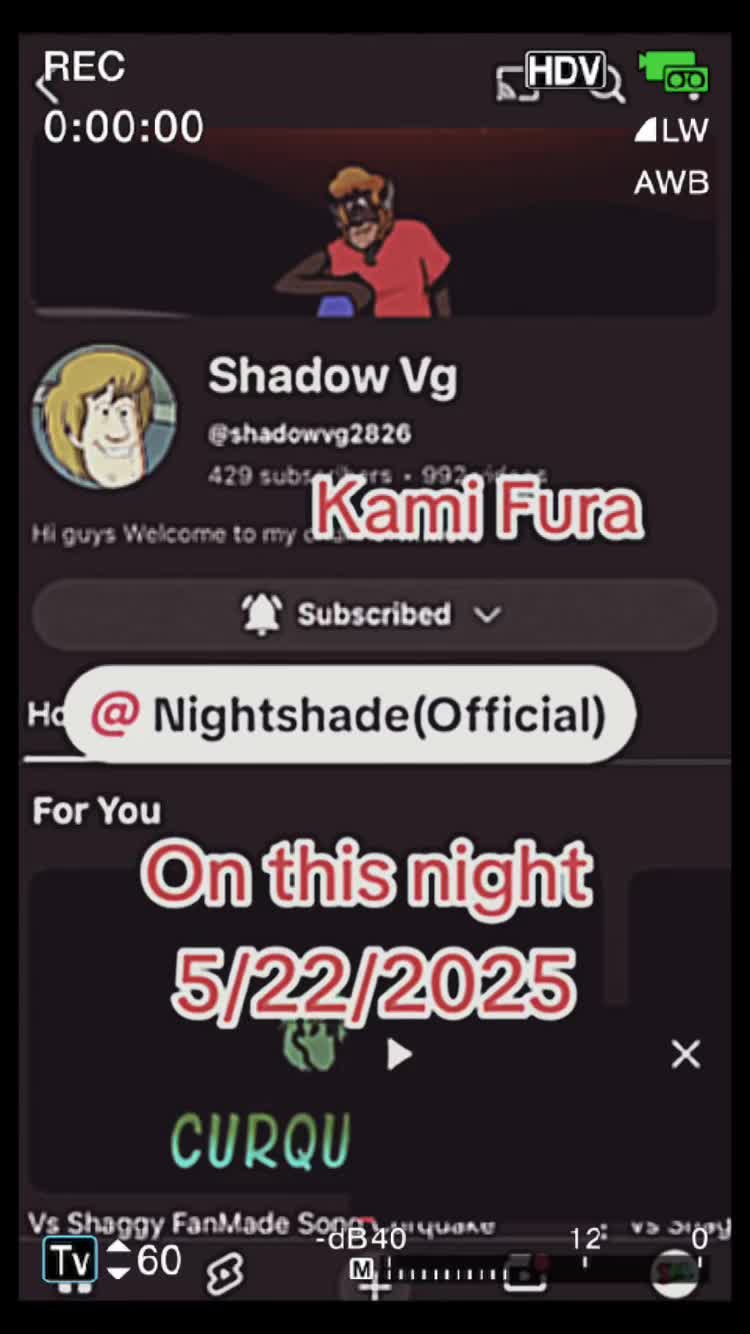 @shaggy_fnf
