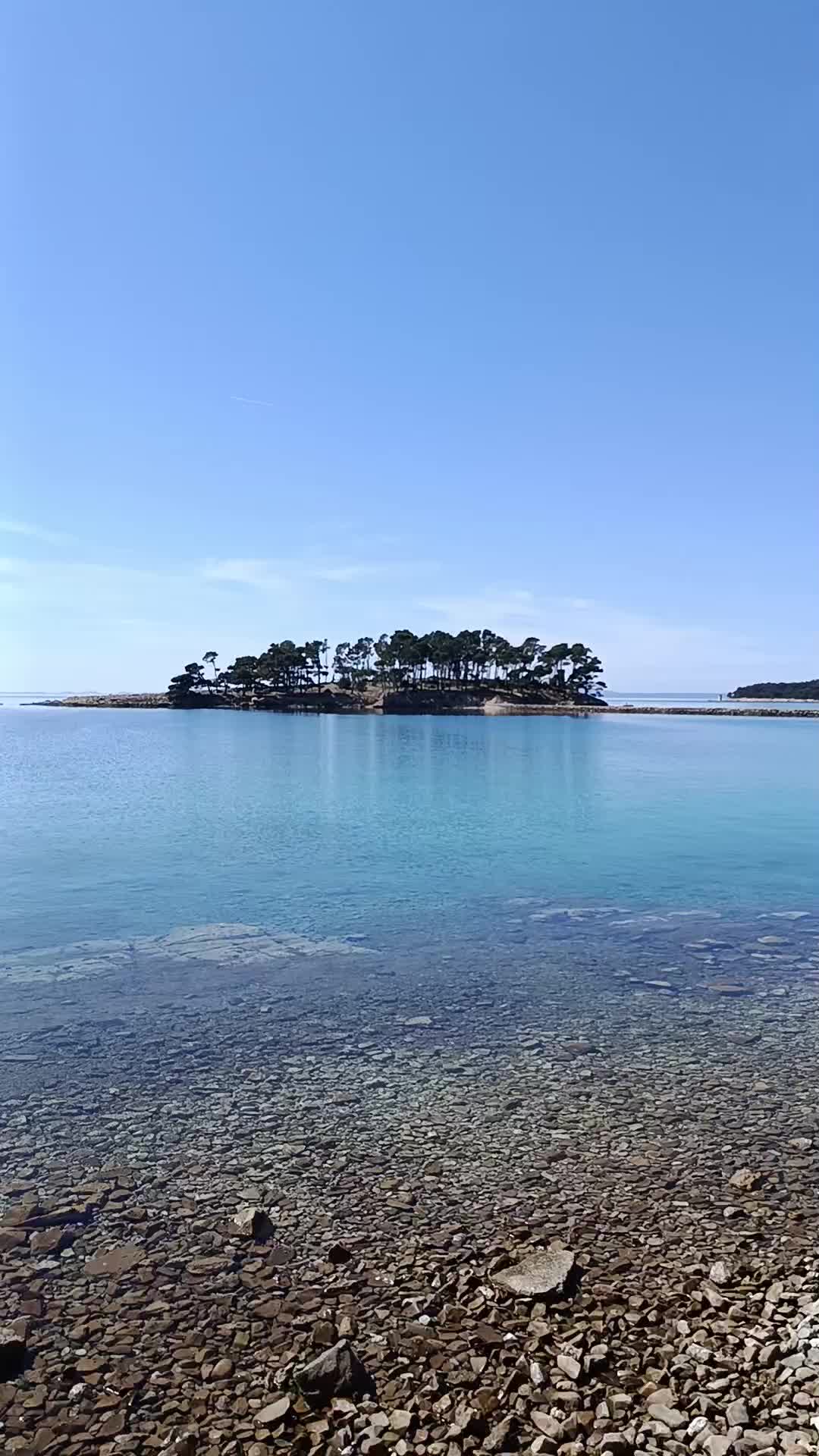 @Marina Grus