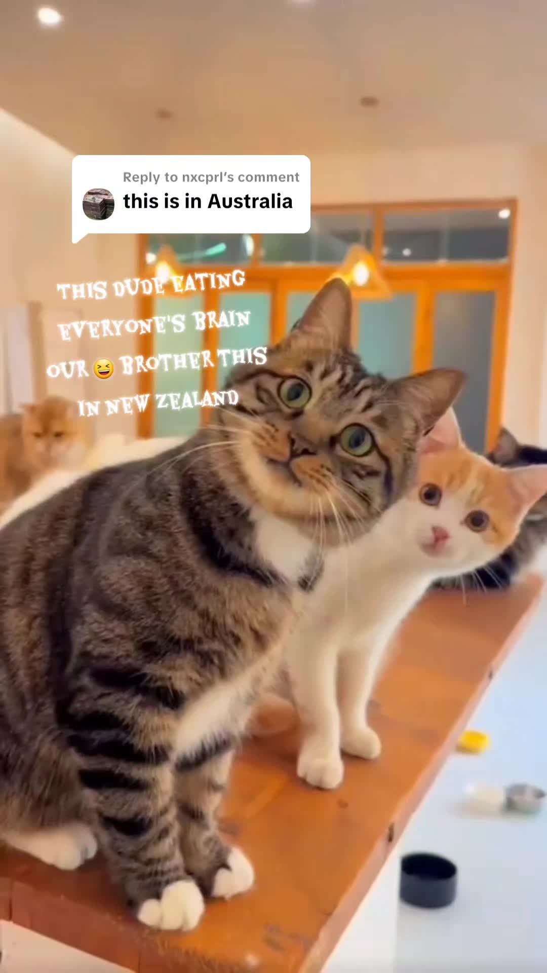 @§ILĘNT_ØNE