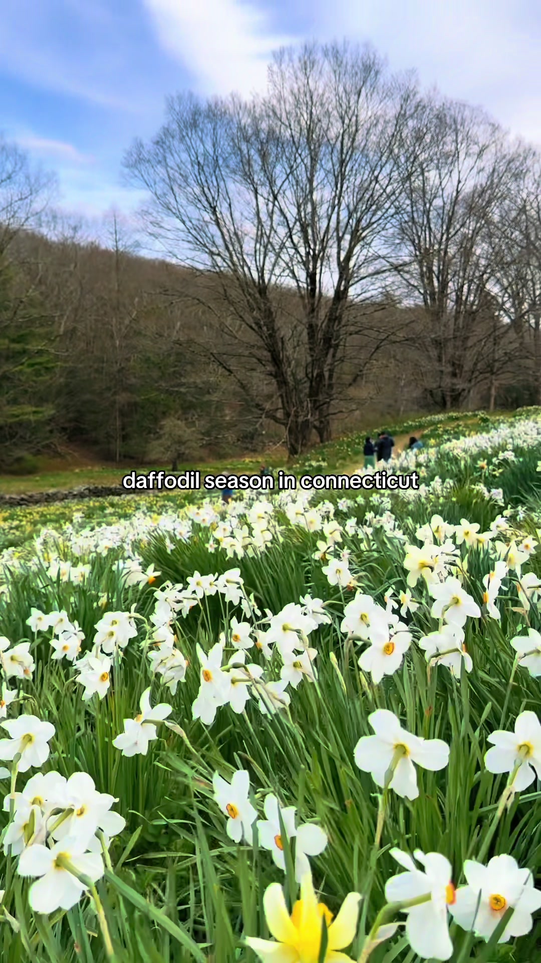 @tasteconnecticut