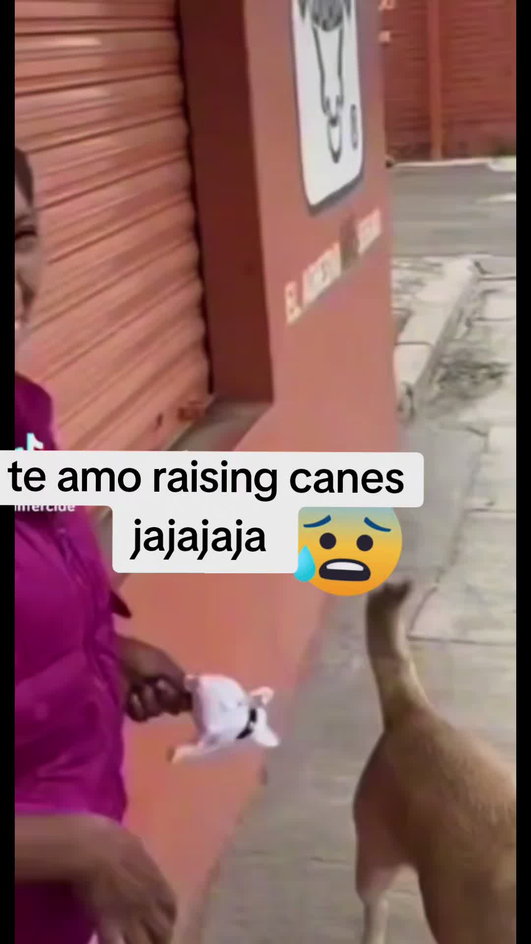 @pambolero