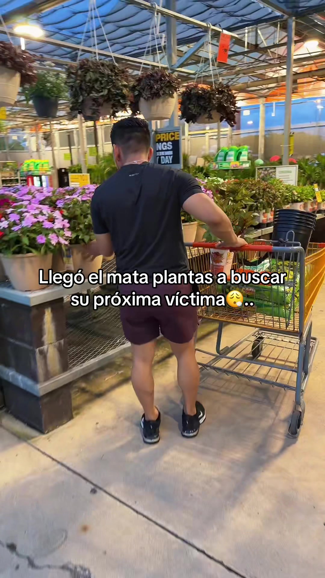 @Jordan Enrique 🥸