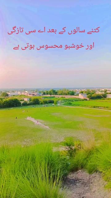 @Adnan Shah g