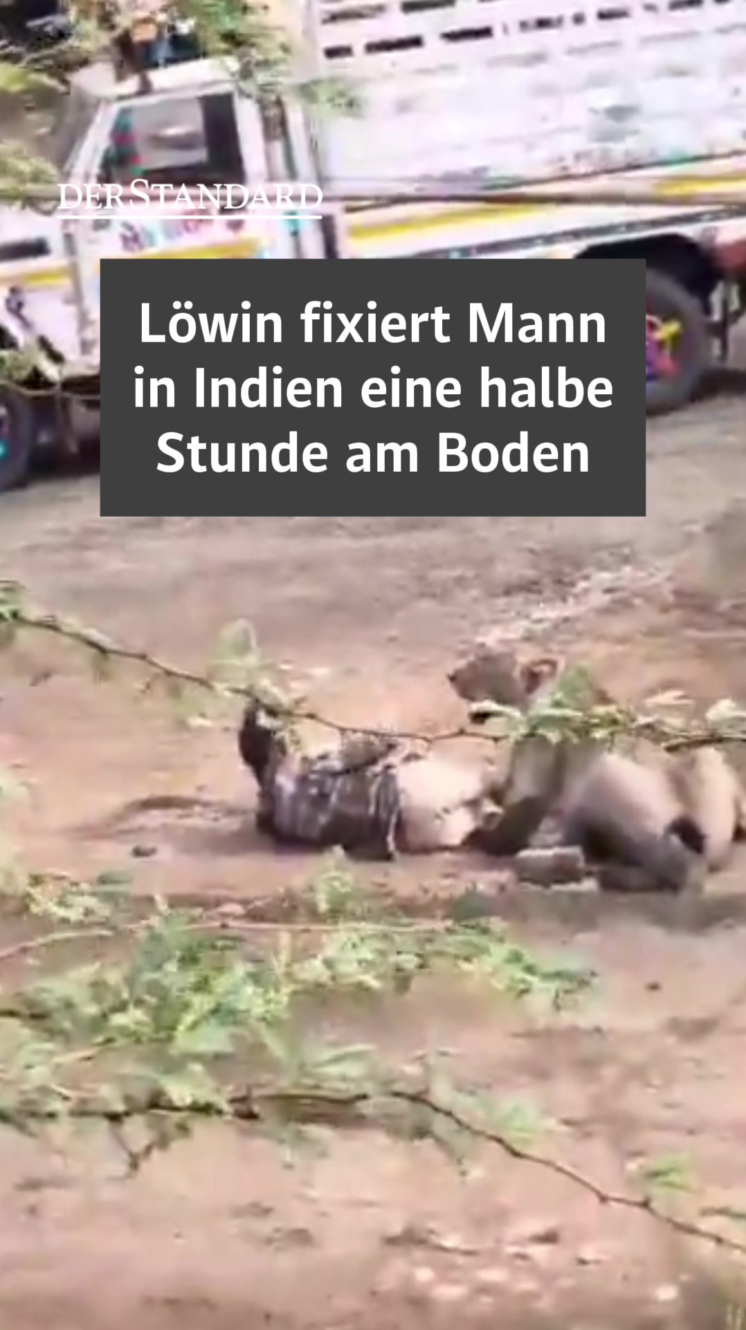 @DER STANDARD News